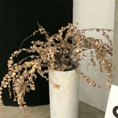 周宁FurryQQ群介绍